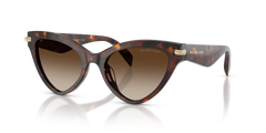 Gafas de Sol Michael Kors Roanoke MK2259U 403113 52 19