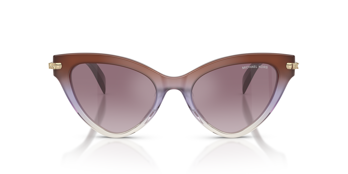 Gafas de Sol Michael Kors Roanoke MK2259U 40366X 52 19