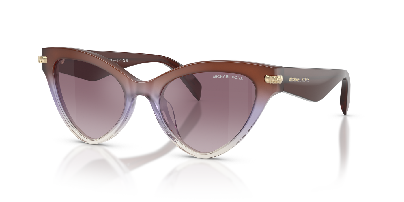 Gafas de Sol Michael Kors Roanoke MK2259U 40366X 52 19