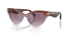 Gafas de Sol Michael Kors Roanoke MK2259U 40366X 52 19