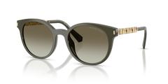 Gafas de Sol Michael Kors Pienza MK2264U 39023M 53 20