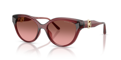Gafas de Sol Michael Kors Nagoya MK2271U 317511 53 17