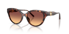 Gafas de Sol Michael Kors Nagoya MK2271U 403178 53 17