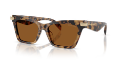 Gafas de Sol Michael Kors Grand Cayman MK2276U 393073 54 17