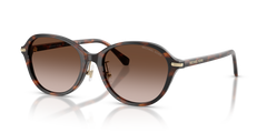 Gafas de Sol Michael Kors Dehli MK2289D 403913 55 18
