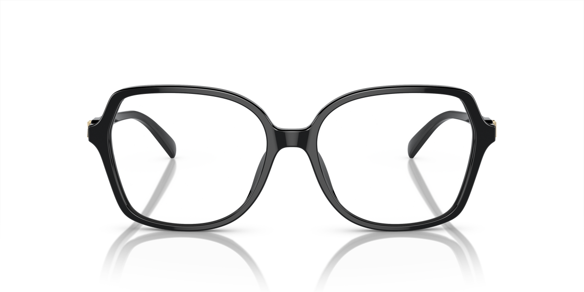 Gafas de Sol Michael Kors Bernal MK4111U 3005 54 16