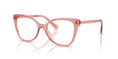 Sunglasses Michael Kors Beaune MK4170U 3101 52 17