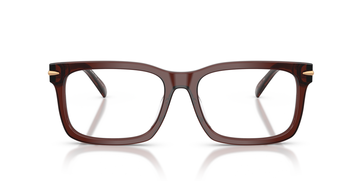 Gafas Graduadas Michael Kors Ottawa MK4177U 3401 55 17