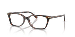 Prescription Glasses Michael Kors Chennai MK4196U 4039 51 / 54 15