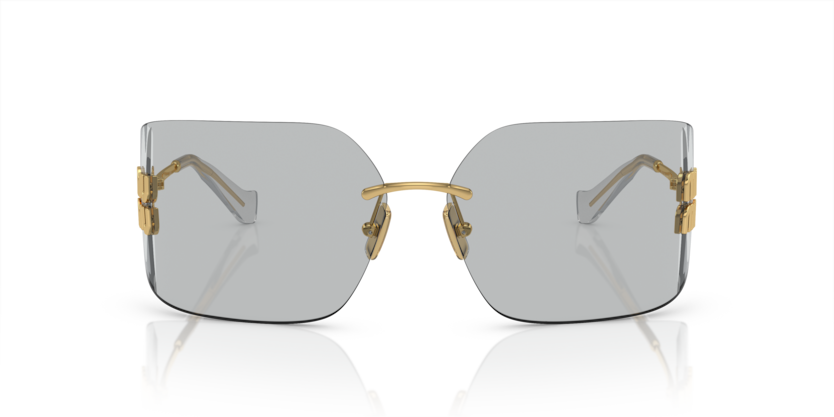 Sunglasses Miu Miu 54YS 5AK30B 80 14