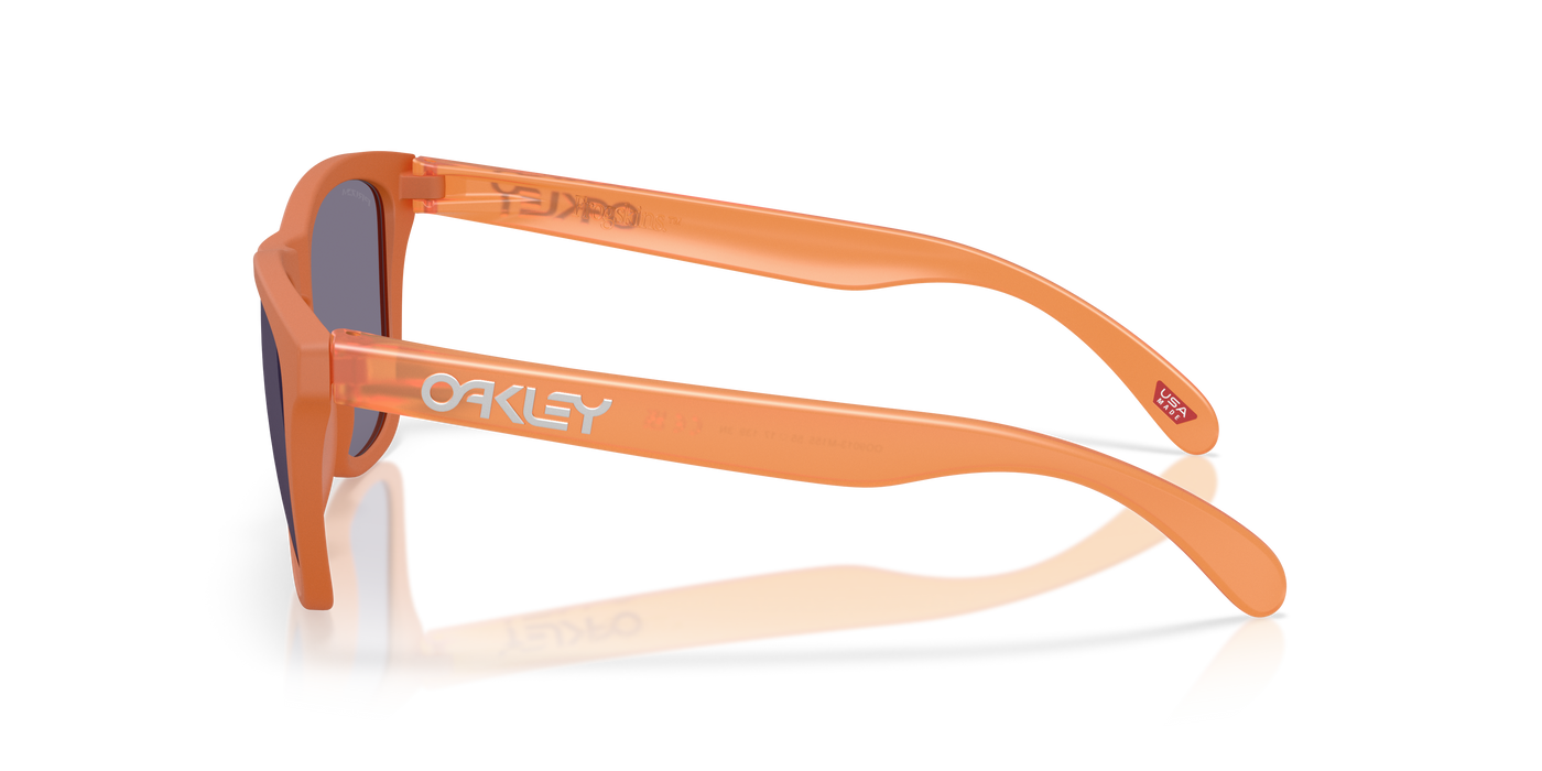Gafas de Sol Oakley Frogskins OO9013 M1