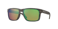 Sunglasses Oakley HOLBROOK OO9102 J8 55 18