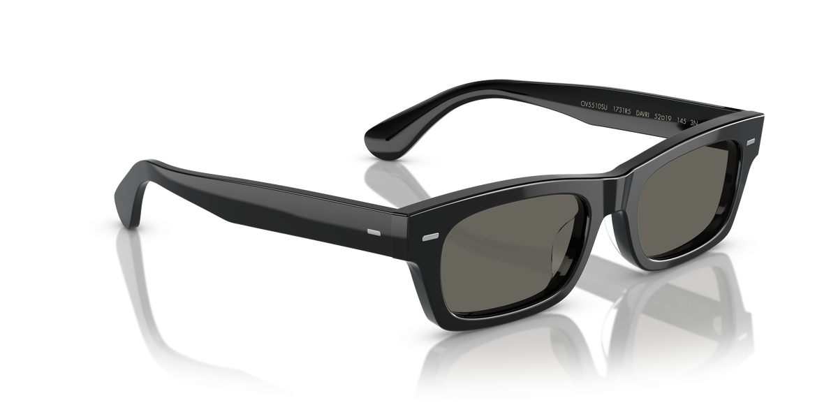 Sunglasses Oliver Peoples Boudreau L.A OV5510SU 1731R5 52 19