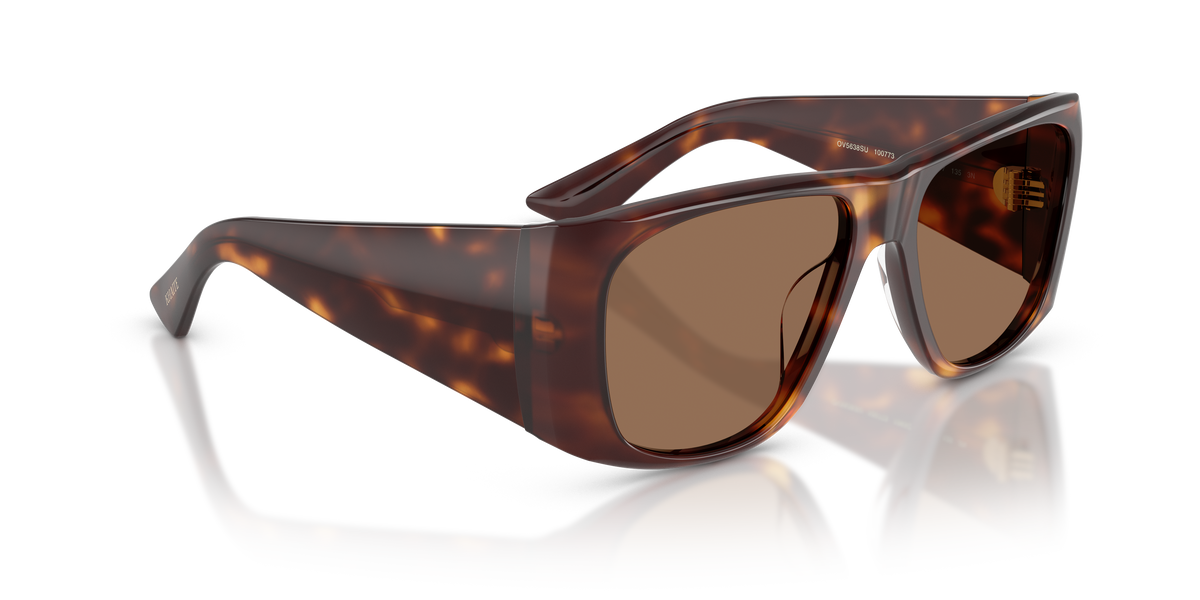 Sunglasses Oliver Peoples 1965C OV5638SU 100773 58 17