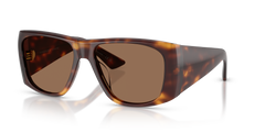 Sunglasses Oliver Peoples 1965C OV5638SU 100773 58 17