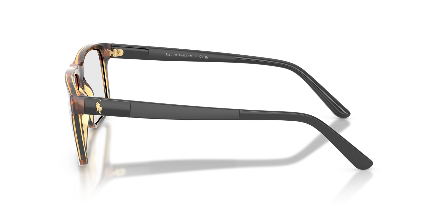 Gafas Graduadas Polo Ralph Lauren PH2218 5003 56 17