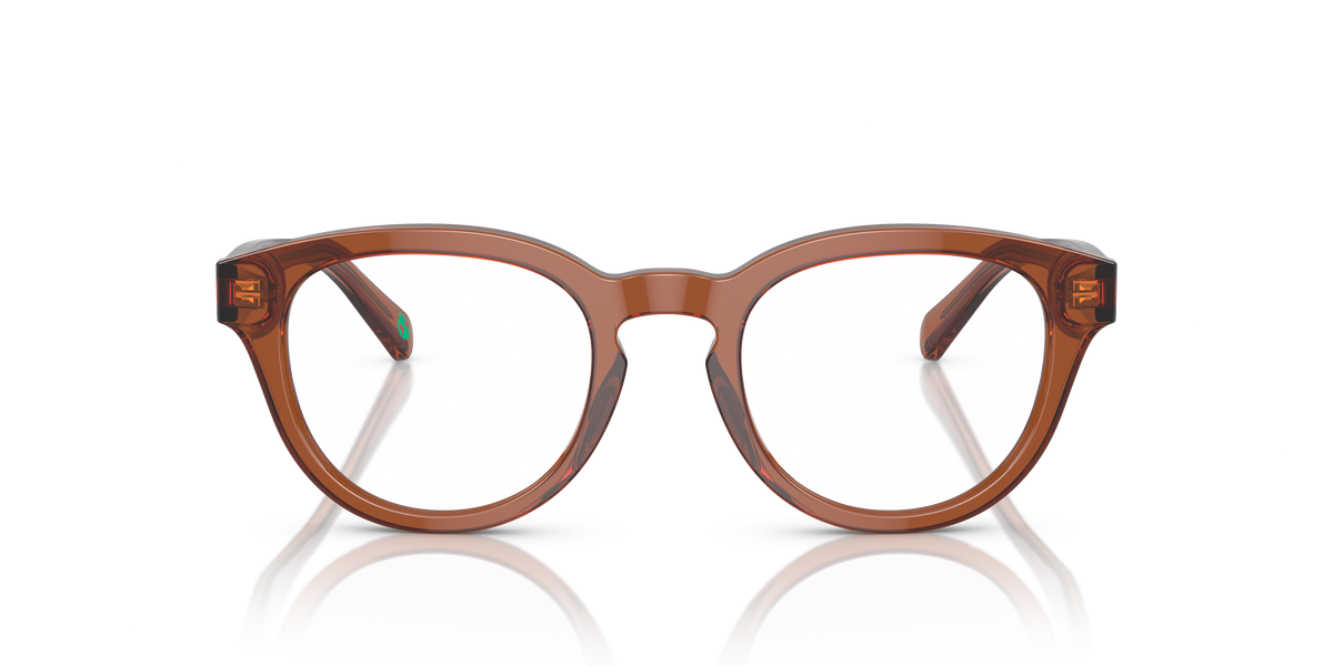 Gafas de Sol Polo Ralph Lauren PH2262 6086 48 21