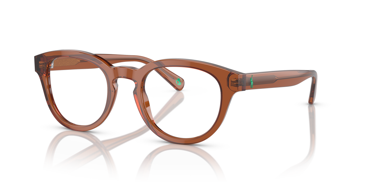 Gafas de Sol Polo Ralph Lauren PH2262 6086 48 21