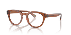 Gafas de Sol Polo Ralph Lauren PH2262 6086 48 21