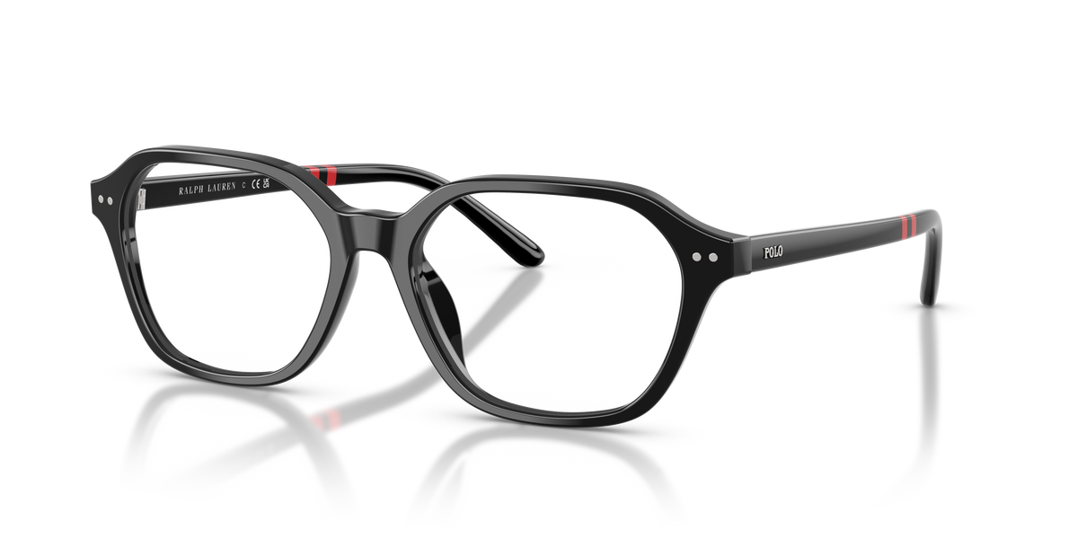 Gafas de Sol Polo Ralph Lauren PH2295U 5001 53 17