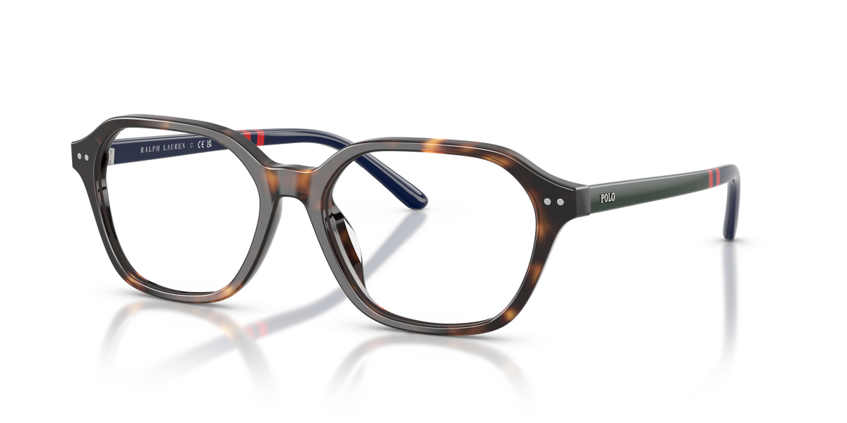 Gafas de Sol Polo Ralph Lauren PH2295U 5003 53 17