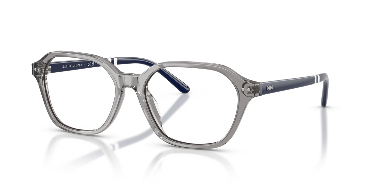 Gafas de Sol Polo Ralph Lauren PH2295U 6318 53 17