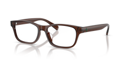 Prescription Glasses Polo Ralph Lauren PH2306D 6282 54 16