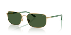 Gafas de Sol Polo Ralph Lauren PH3159 947771 58 17