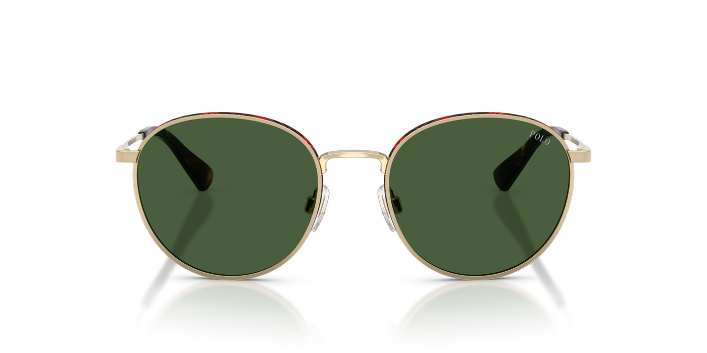 Gafas de Sol Polo Ralph Lauren PH3163 928671 53 19