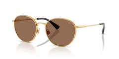 Gafas de Sol Polo Ralph Lauren PH3163 940273 53 19