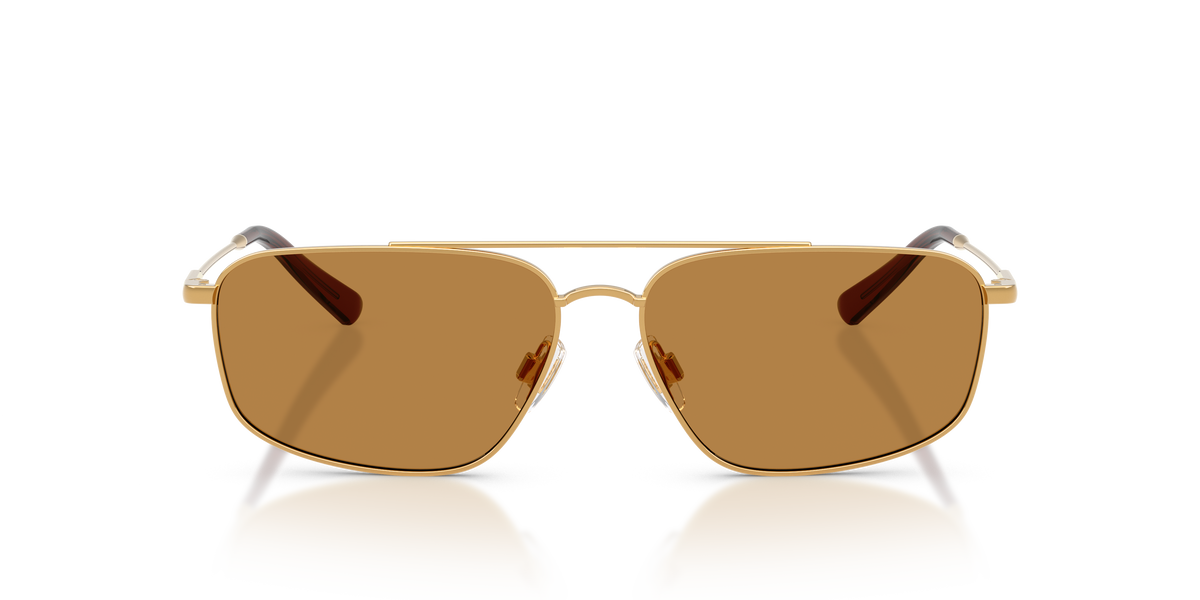 Gafas de Sol Polo Ralph Lauren PH3164 932493 58 14