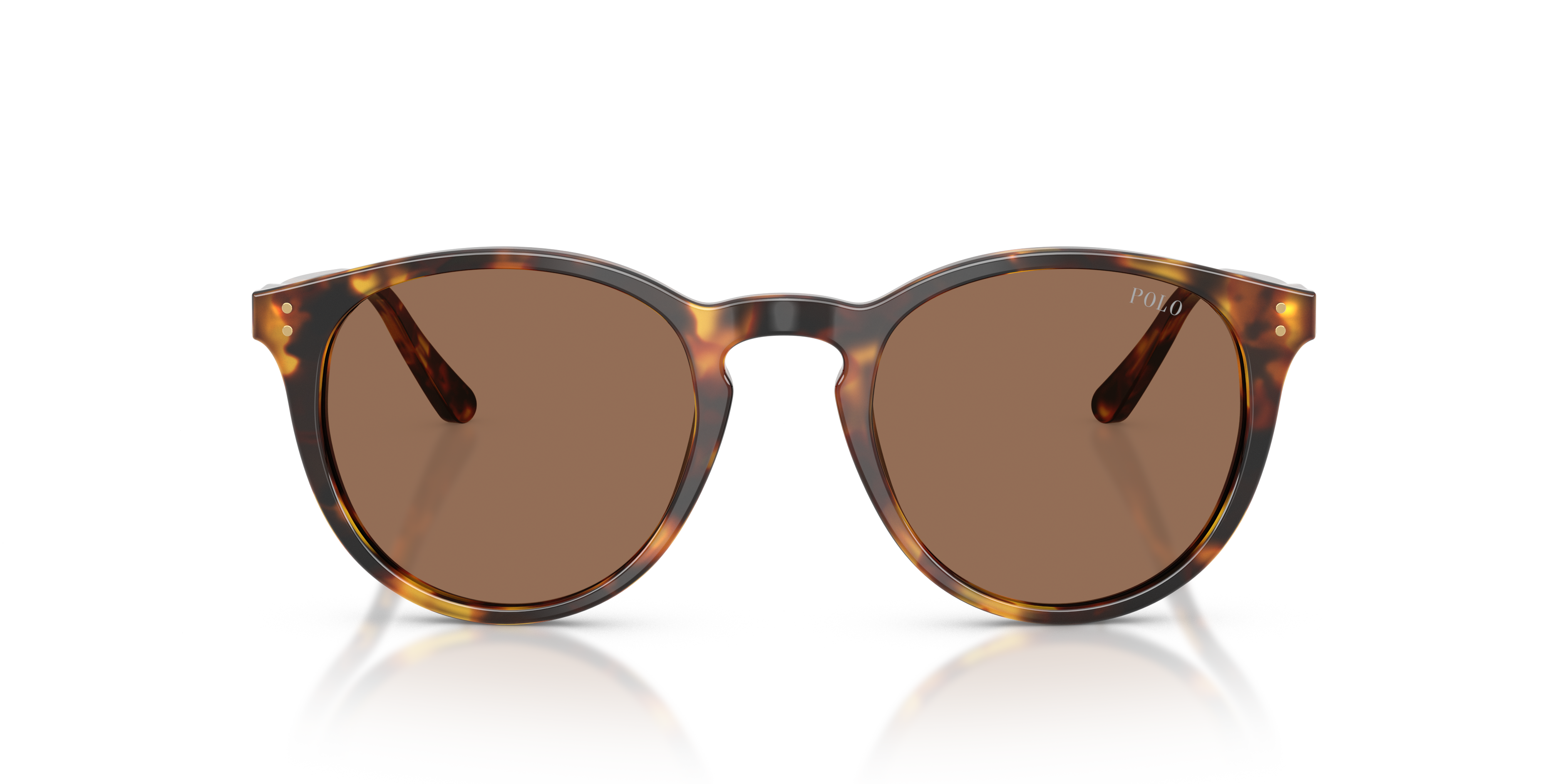 Gafas de Sol Polo Ralph Lauren PH4110 513473 50 21