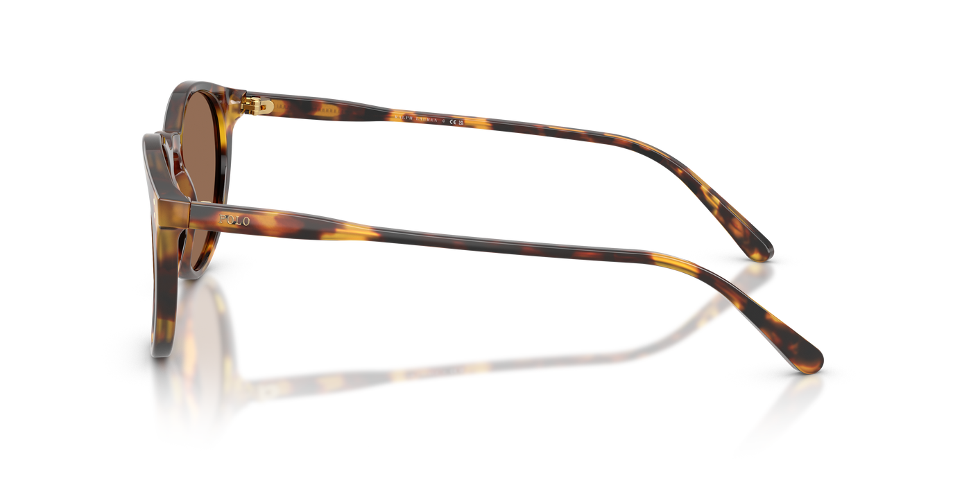 Gafas de Sol Polo Ralph Lauren PH4110 513473 50 21