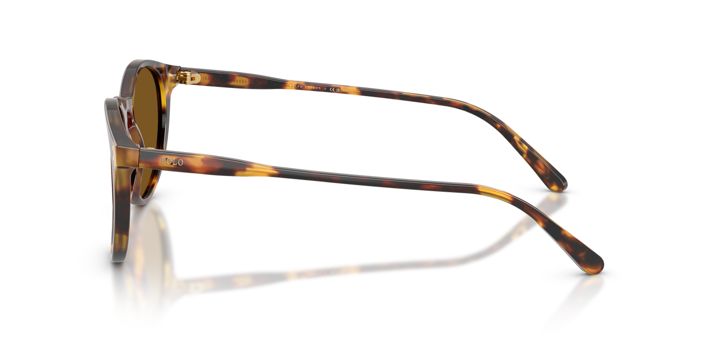 Gafas de Sol Polo Ralph Lauren PH4110 513483 50 21