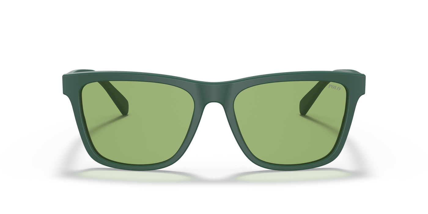 Gafas de Sol Polo Ralph Lauren PH4167 5421/2 56 17