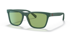 Gafas de Sol Polo Ralph Lauren PH4167 5421/2 56 17