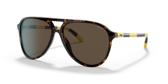 Gafas de Sol Polo Ralph Lauren PH4173 500373 59 14