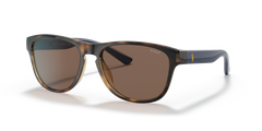 Gafas de Sol Polo Ralph Lauren PH4180U 500373 56 17