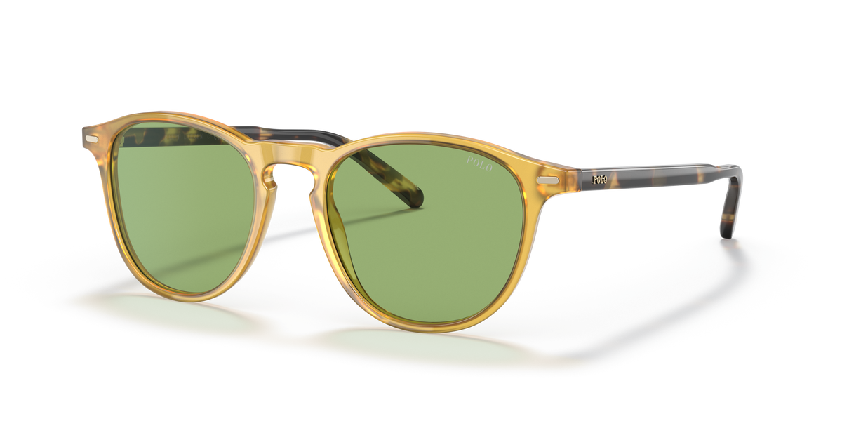Gafas de Sol Polo Ralph Lauren PH4181 5005/2 51 19