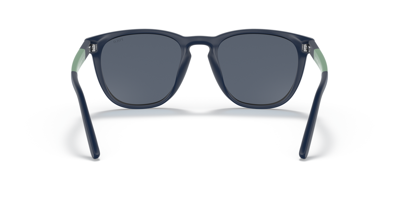 Sunglasses Polo Ralph Lauren PH4182U 550687 53 20