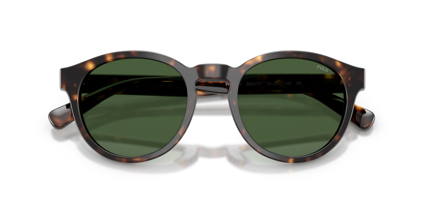 Gafas de Sol Polo Ralph Lauren PH4192 500371 51 21