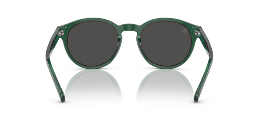 Gafas de Sol Polo Ralph Lauren PH4192 608487 51 21