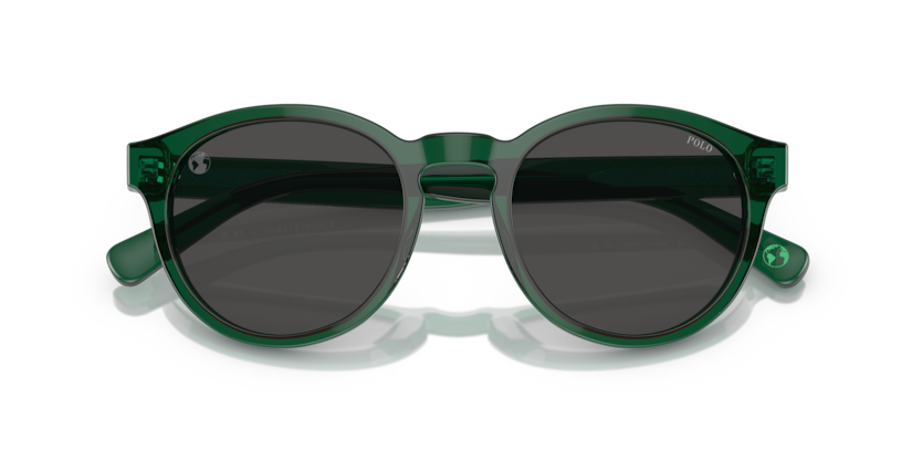 Gafas de Sol Polo Ralph Lauren PH4192 608487 51 21