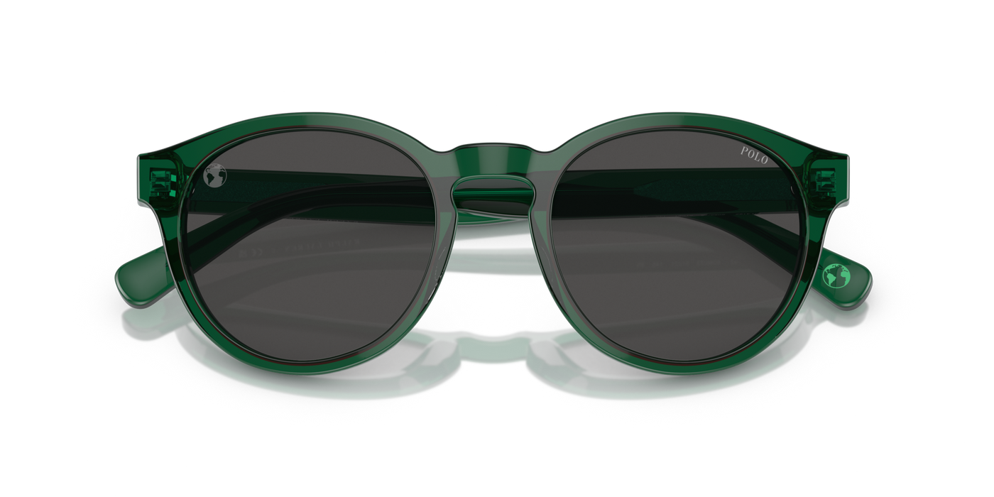 Gafas de Sol Polo Ralph Lauren PH4192 608487 51 21