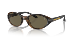 Gafas de Sol Polo Ralph Lauren PH4197U 5003/3 56 19