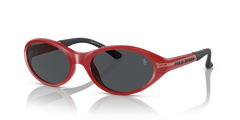 Gafas de Sol Polo Ralph Lauren PH4197U 609187 56 19