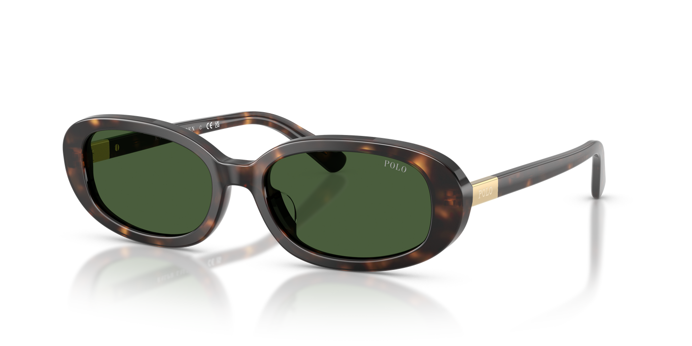 Gafas de Sol Polo Ralph Lauren PH4198U 500371 53 17