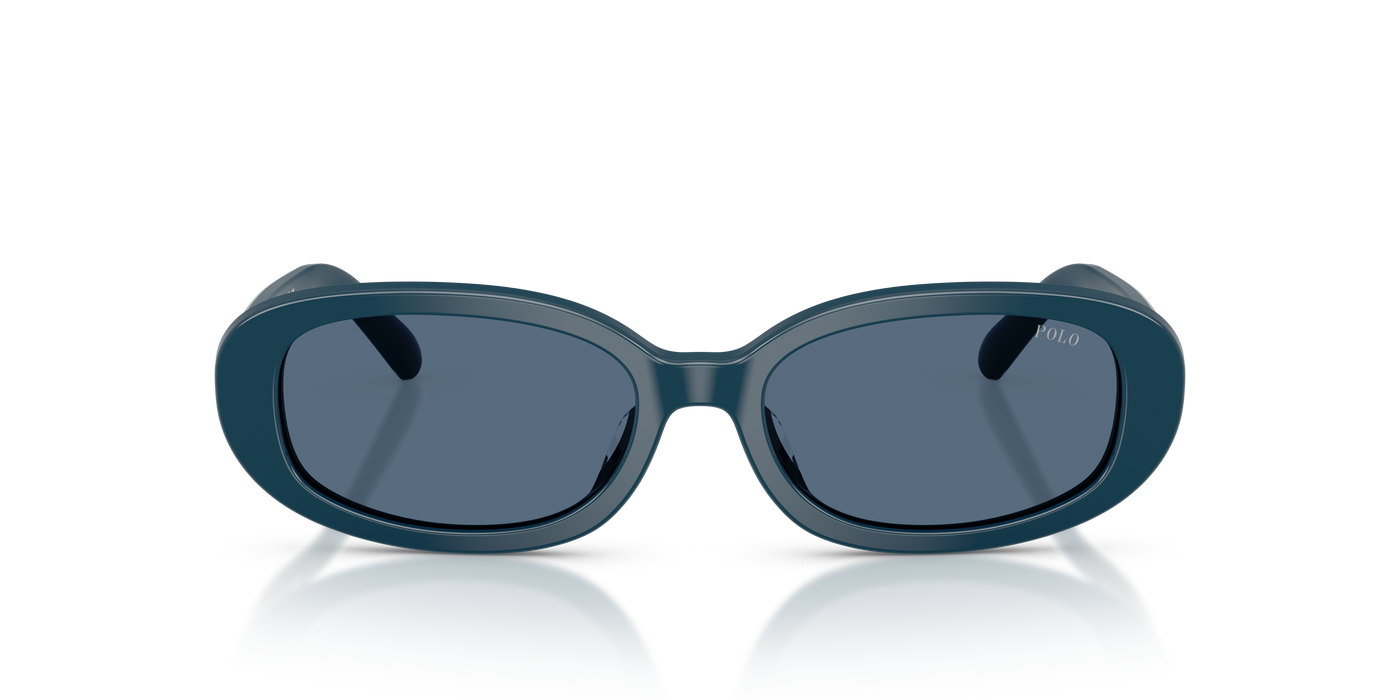 Gafas de Sol Polo Ralph Lauren PH4198U 546580 53 17