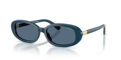 Gafas de Sol Polo Ralph Lauren PH4198U 546580 53 17