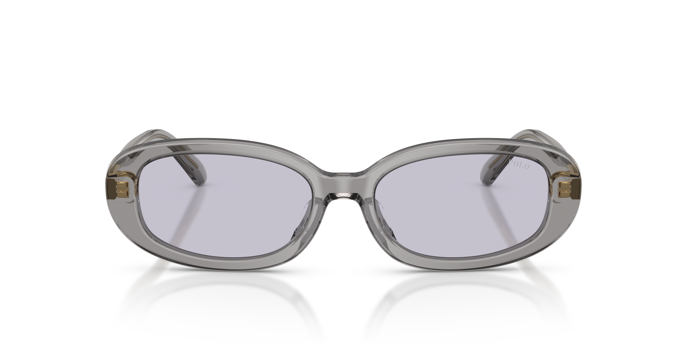Gafas de Sol Polo Ralph Lauren PH4198U 63181A 53 17